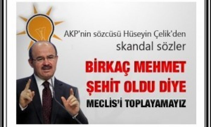 Çelik: Bir Kaç Mehmet Şehit Oldu Diye Meclis Toplanmaz