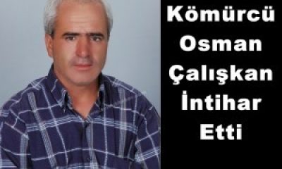 Zeytin Ağacına Kendini Asarak İntihar Etti