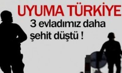Bugün 3 Şehit Daha Verdik !