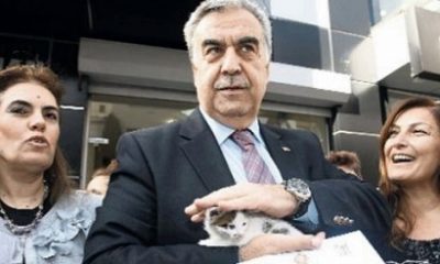 ‘Ak Kedi’ Selçuk’a Emanet Edildi
