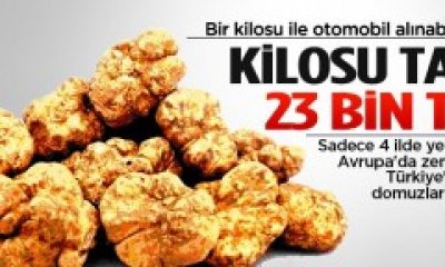 Avrupa’da Zenginler, Türkiye’de Domuzlar Yiyor