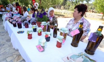 Kadınlar Çamlık’ta Pazar açtı
