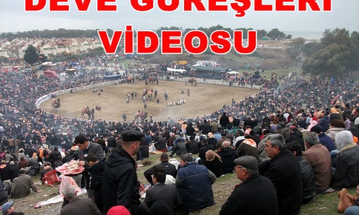 Selçuk Efes Deve Güreşleri Videosu