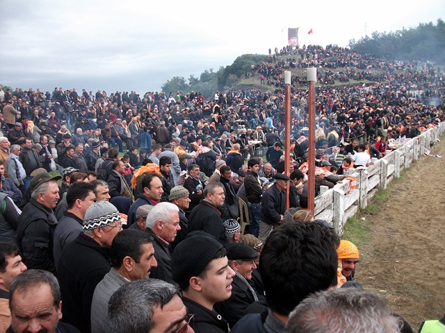 selcuk-efes-deve-guresi (3)