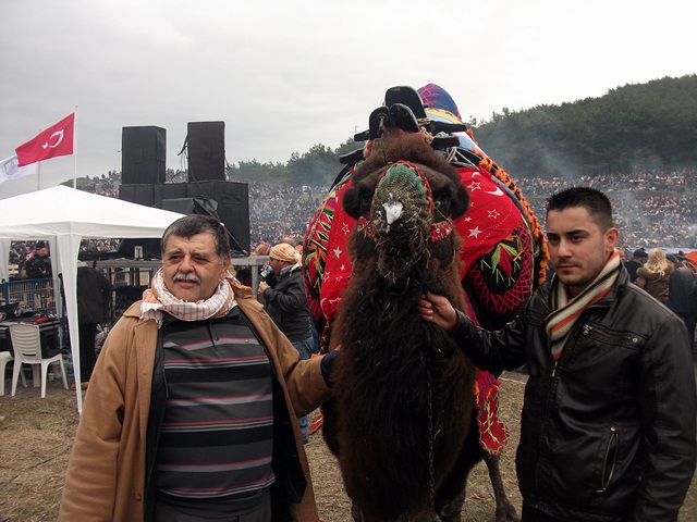 selcuk-efes-deve-guresi (6)