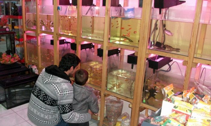 Ayasuluk Pet Shop Miniklerin İlgi Odağı