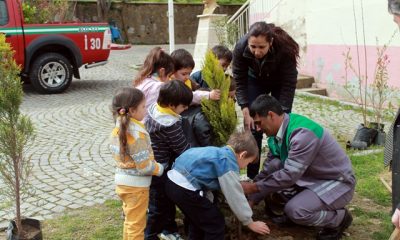Özel Misket Anaokulu İzcilik Kulübü 21-26 Mart Orman Haftasını Kutladı