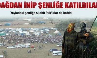 Çekildi Denilenler Halay Çekiyor