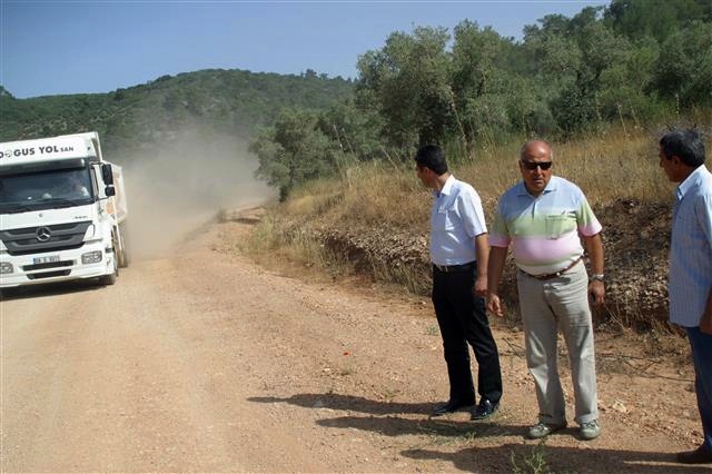 selcuk-zeytinkoy (2)