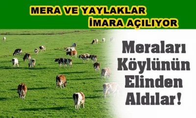 Meraları Köylünün Elinden Aldılar