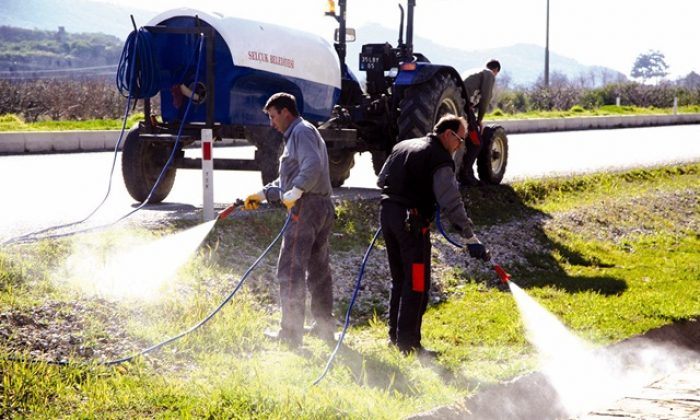 Haşere ile Mücadelede Hızlı Çözüm