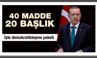 Demokratikleşme Paketi Açıklandı, Pakette Neler Var