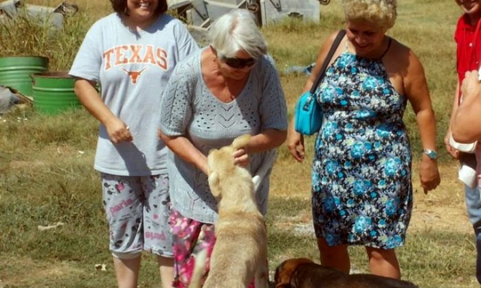HAYTAP Selçuk Hayvan Barınağına Hayran Kaldı