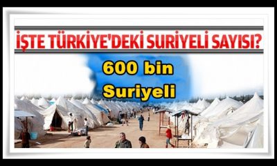 AFAD açıkladı: Türkiye’de 600 bin Suriyeli