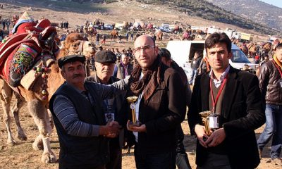 Belevi Deve Güreşleri Büyük Bir Coşkuyla Yapıldı