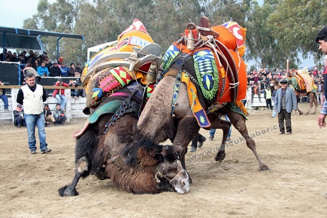 GUNLUK-GUNESLIK-GURES (1)