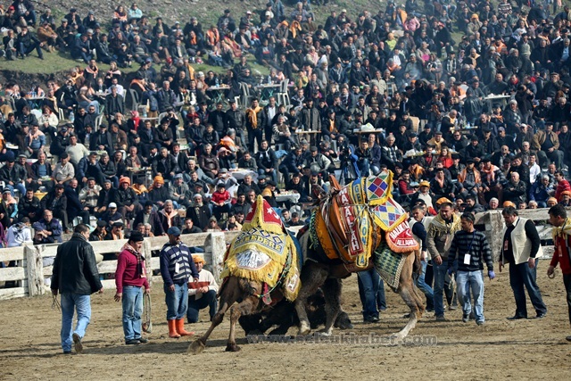 GUNLUK-GUNESLIK-GURES (2)