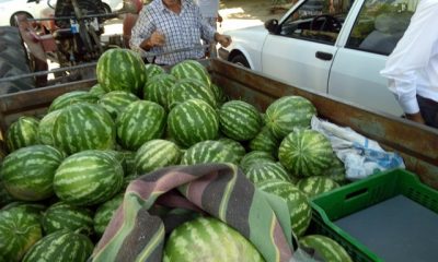 Ramazan’da Karpuz Satışları Patladı