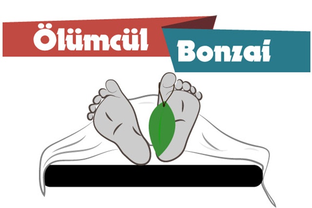 olumcul_bonzai