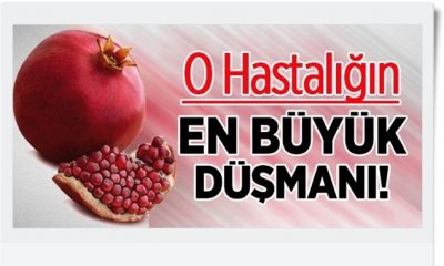 Nar, Alzheimer Düşmanı Çıktı