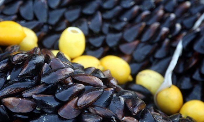 Selçuk’ta Midye Satışına Geçit Yok