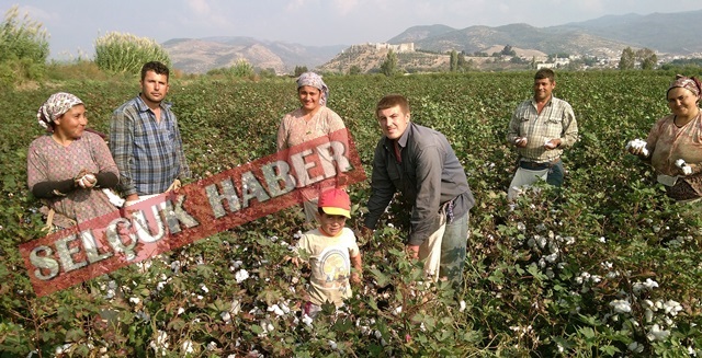 pamuga-borsa-soku (1)