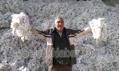 Hamdolsun! Pamuk’ta bitti