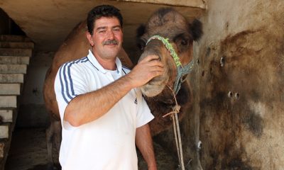 Selçuk’taki Deveciler isyanda