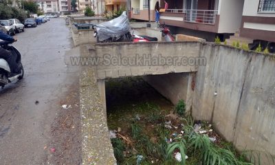 Üvey evlat Barış Caddesi