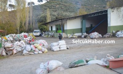 Günde 8 ton yağ sıkılıyor