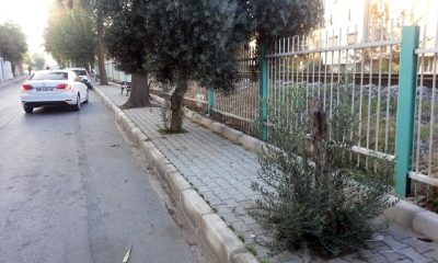 Yaya kaldırımsız kaldı