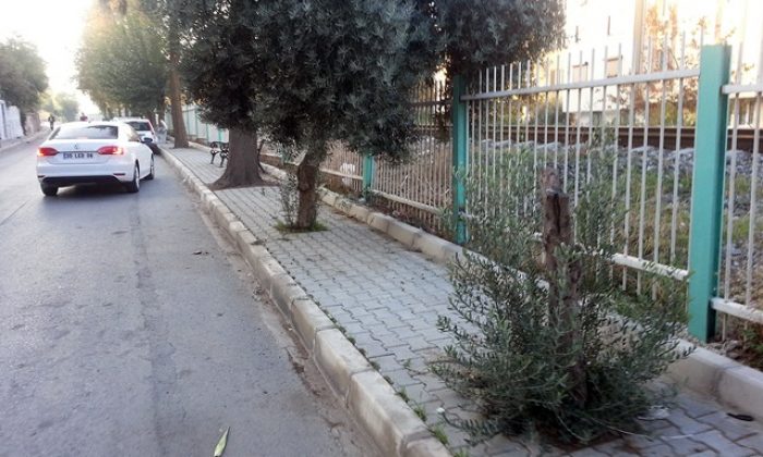 Yaya kaldırımsız kaldı