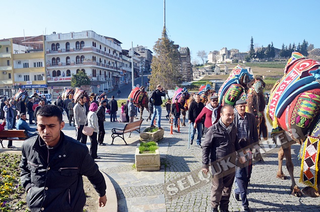 SELCUKEFES-deve-guresleri (10)