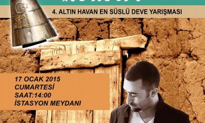 Develer görücüye çıkıyor