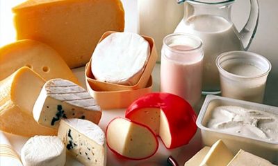 Peynire tuz, yağ ve etiket ayarı