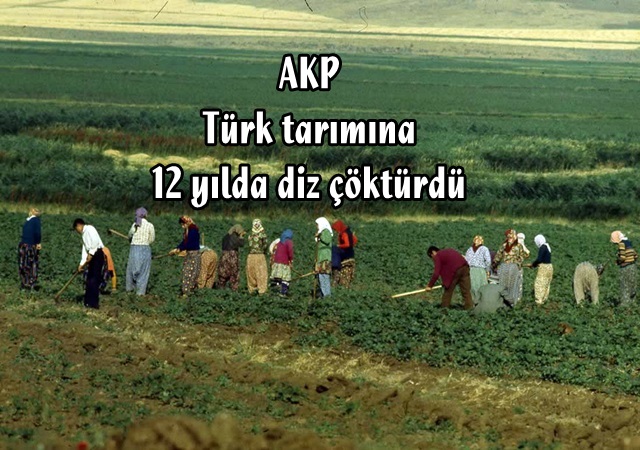turk-tarimi (1)