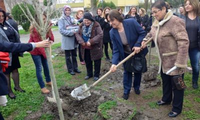 Selçuk’ta Şiddet Gören Kadınlar İçin Fidan Dikildi