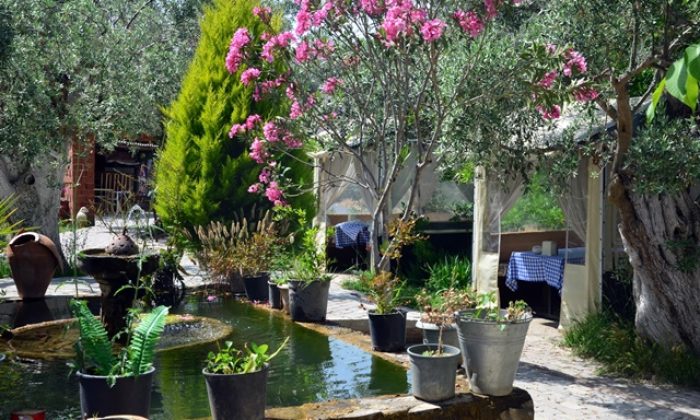 Keyifli  Bir Vakit İçin, Koyu Gölge’yi Tercih Edin