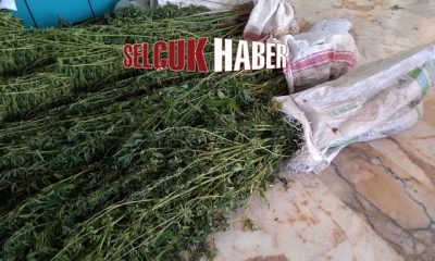 Selçuk’ta şafak operasyonu