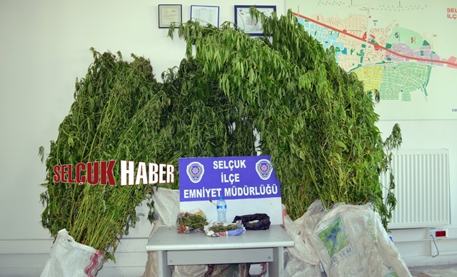 selcuk-uyusturucu-operasyonu (2)