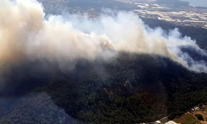 Ege cayır cayır yanıyor! İzmir, Bodrum, Muğla, Manisa…