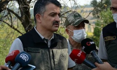 Pakdemirli’den yangınlarla ilgili açıklama