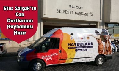 Efes Selçuk’ta Can Dostlarının Haybulansı Hazır
