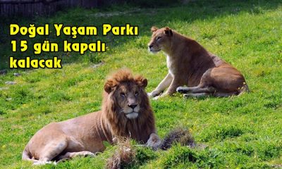 Doğal Yaşam Parkı 15 gün kapalı kalacak