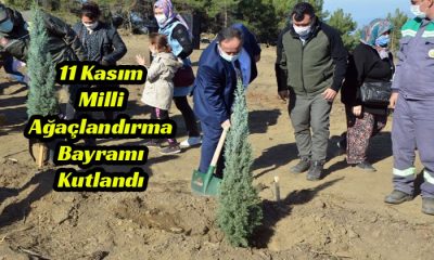 11 Kasım Milli Ağaçlandırma Bayramı Kutlandı