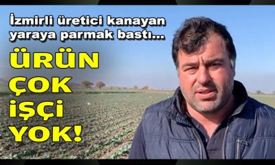 İzmirli üretici kanayan yaraya parmak bastı… Ürün çok, işçi yok!