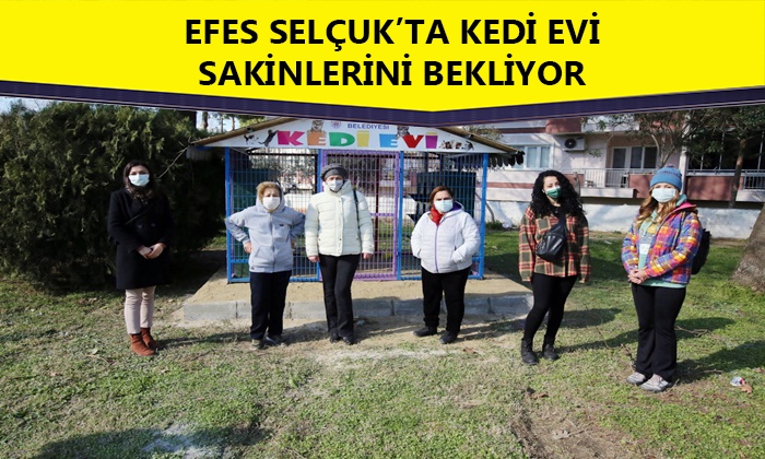 Efes Selçuk Belediyesi’nden Kediler Günü’nde Can Dostlarına Kedi Evi