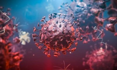 Bilim insanları Covid-19’u ‘nanoparçacık’lar ile tuzağa düşürmek istiyor