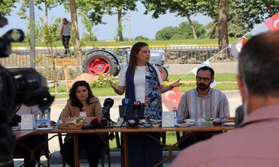 Efes Tarlası Yaşam Köyü Açılışa Hazır