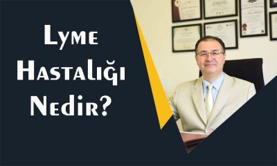 Lyme Hastalığı Nedir?